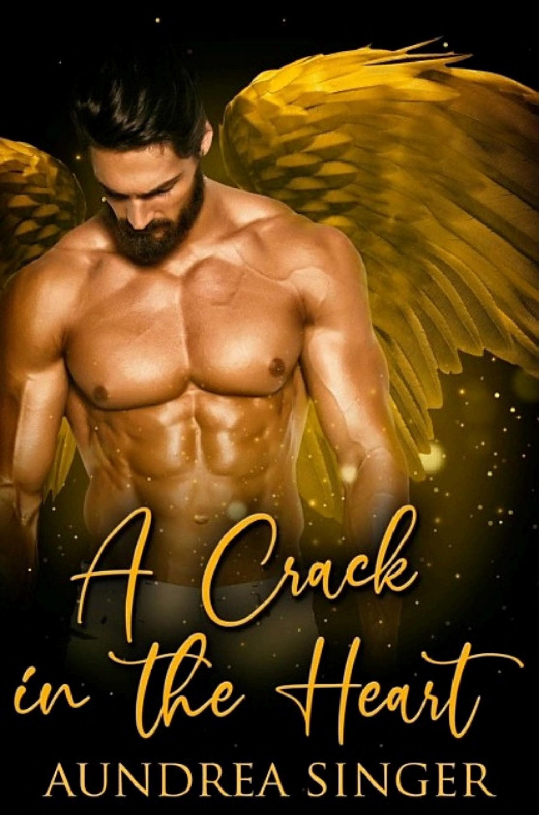 Cover of A Crack in the Heart