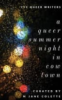 Cover of A Queer Summer Night in Cowtown