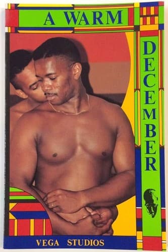 Cover of A Warm December