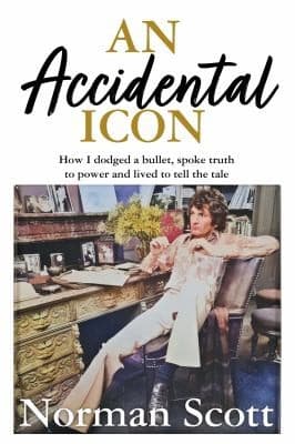 Cover of Accidental Icon