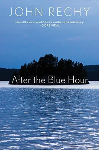 Cover of After the Blue Hour