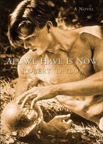 Cover of All We Have Is Now