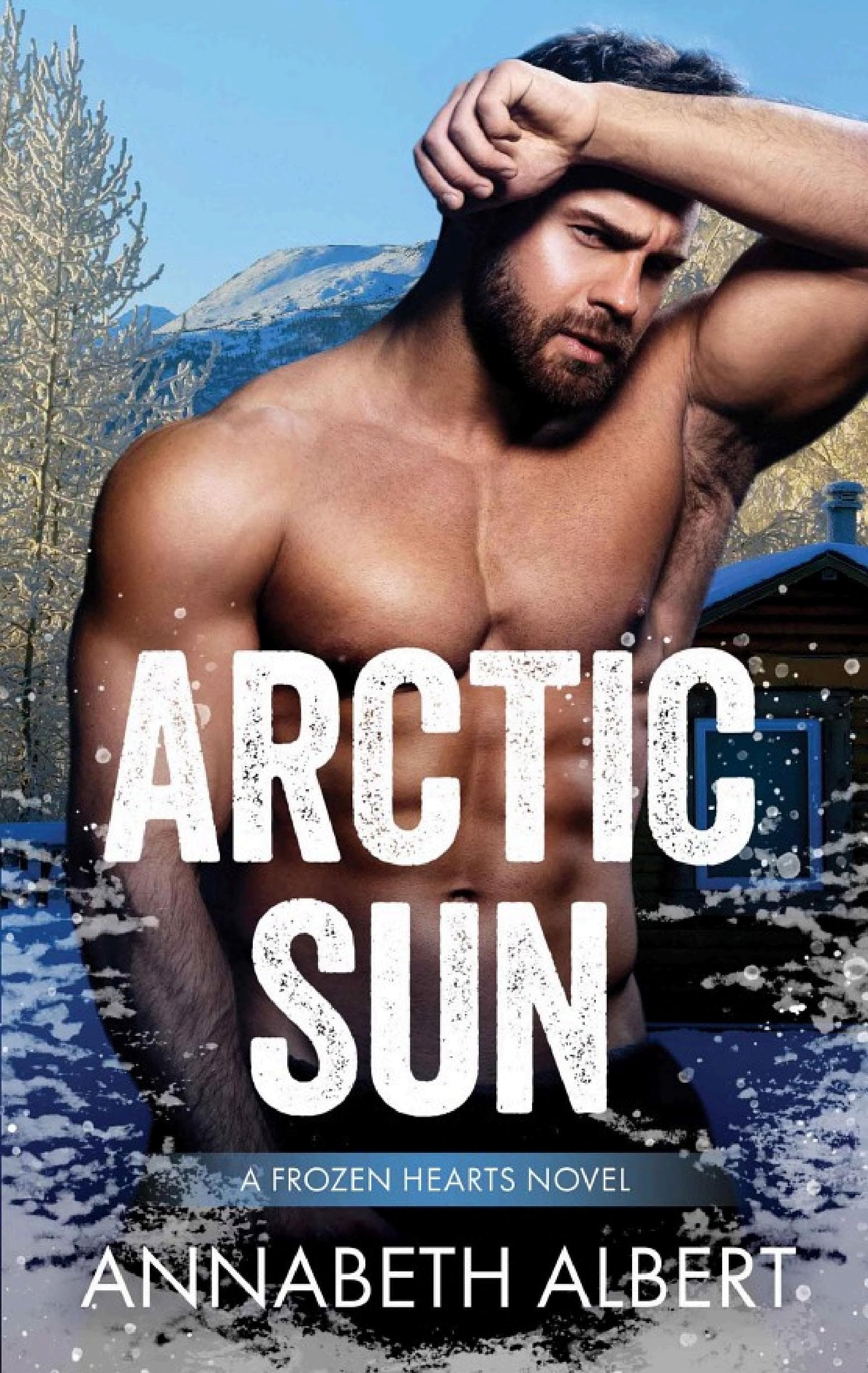 Cover of Arctic Sun