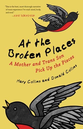 Cover of At the broken places