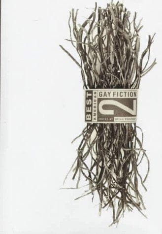Cover of Best American Gay Fiction 2