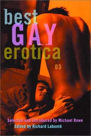 Cover of Best Gay Erotica 2003