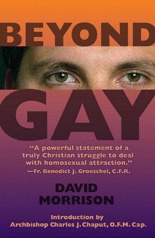 Cover of Beyond gay