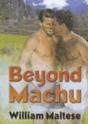 Cover of Beyond Machu
