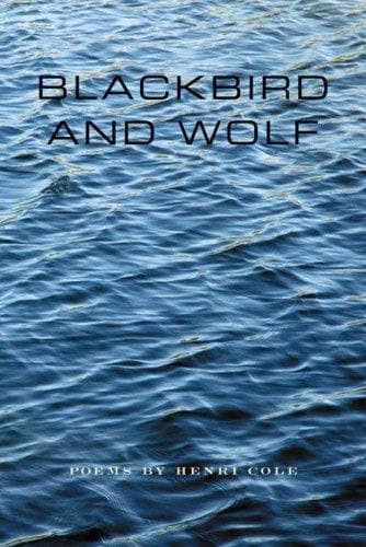Cover of Blackbird and Wolf