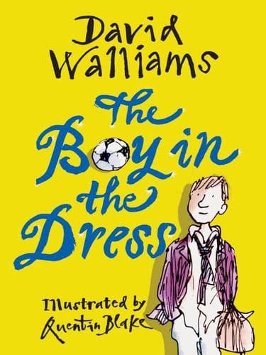 Cover of Boy in the Dress