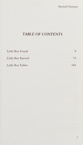 Cover of Boystown