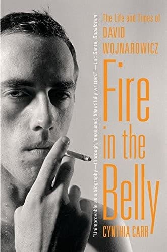 Cover of Fire in the Belly