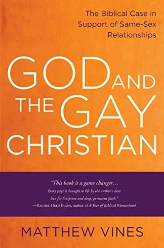 Cover of God and the gay Christian