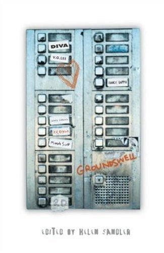 Cover of Groundswell