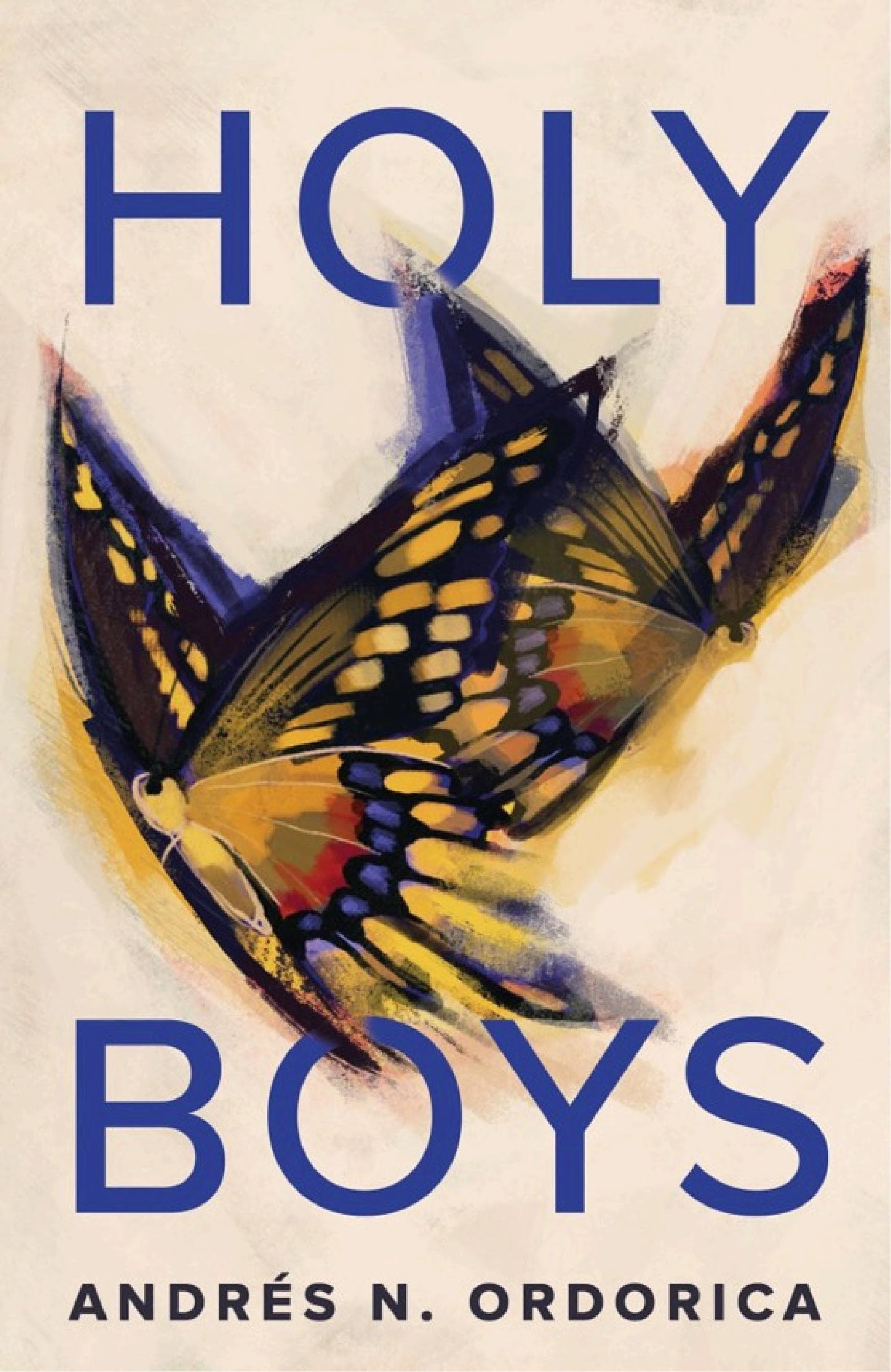 Cover of Holy Boys