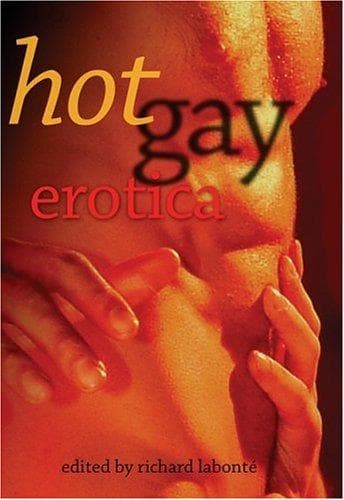 Cover of Hot Gay Erotica