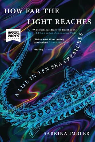 Cover of How Far the Light Reaches