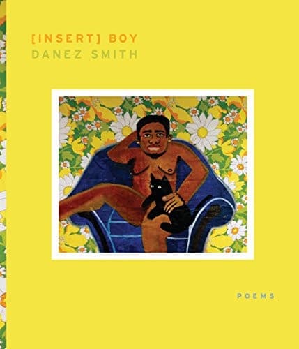 Cover of [insert] boy