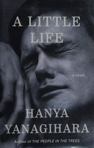 Cover of Little Life