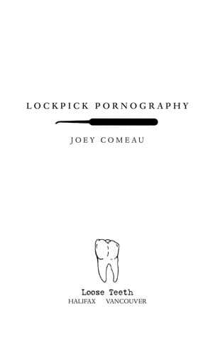 Cover of Lockpick pornography
