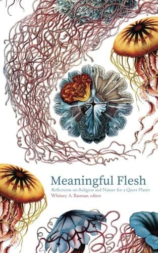 Cover of Meaningful Flesh