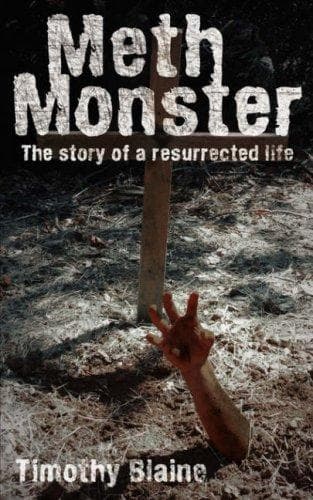 Cover of Meth Monster