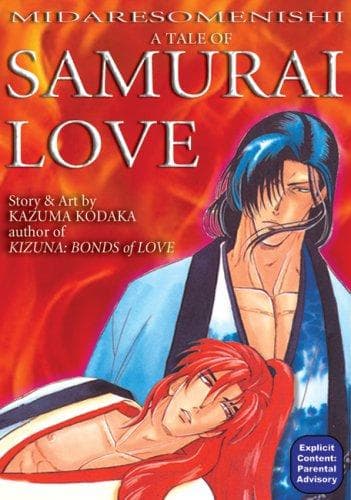 Cover of Midaresomenishi