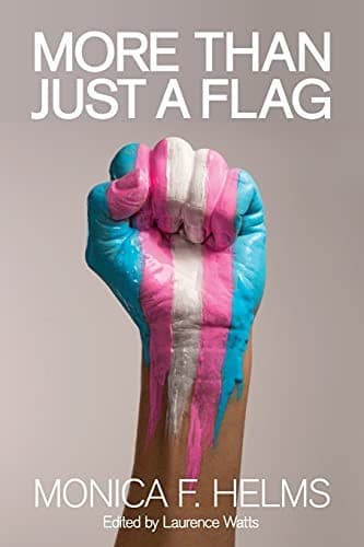 Cover of More Than Just a Flag
