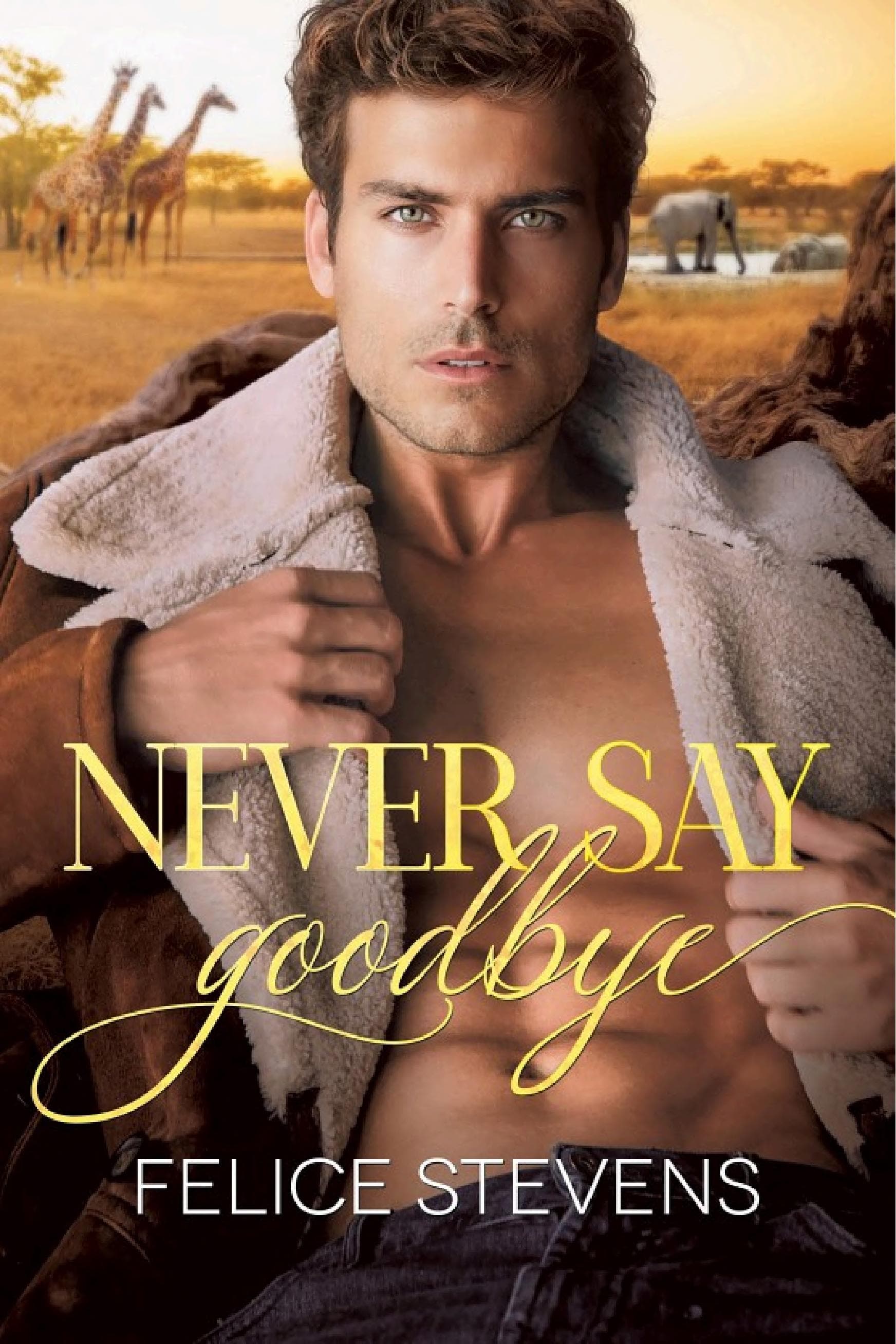 Cover of Never Say Goodbye A gay romance