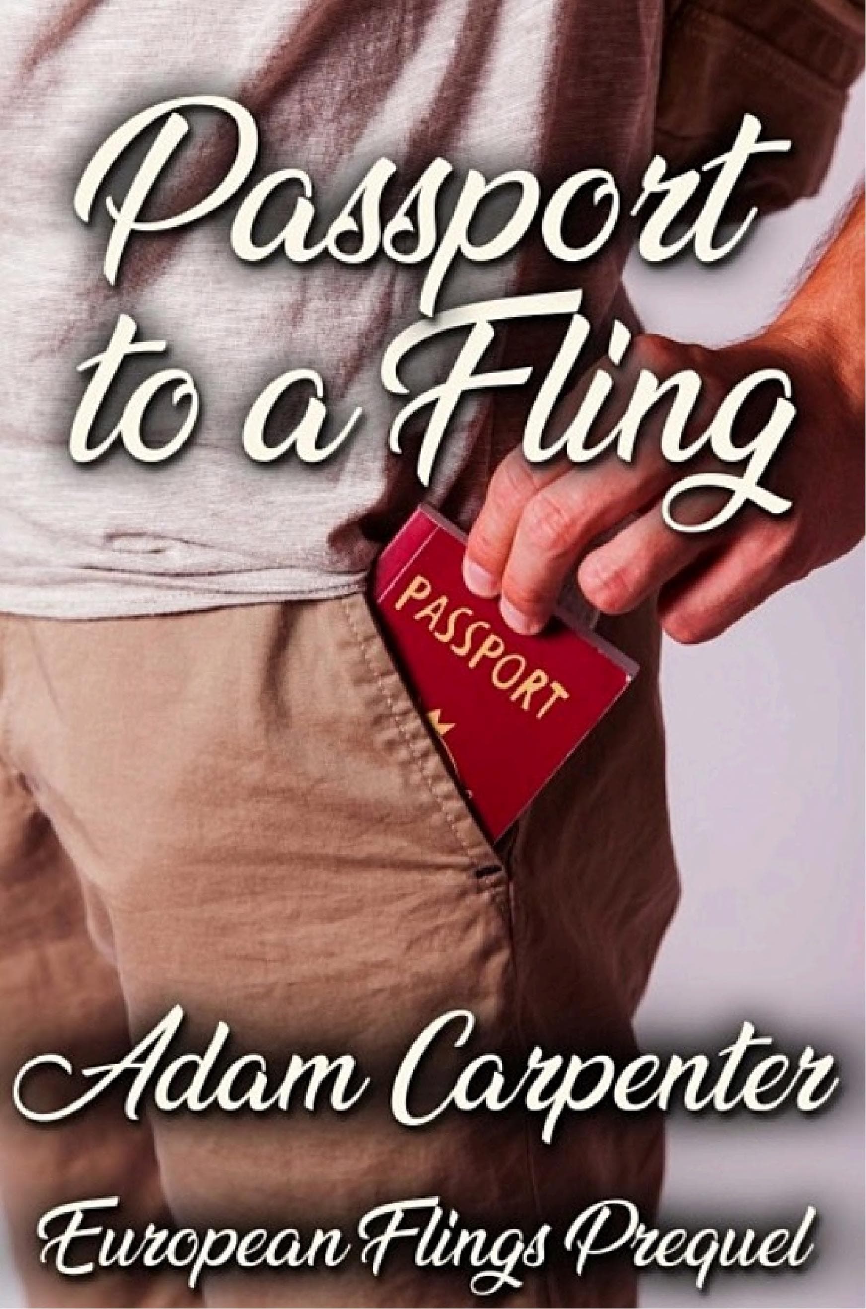 Cover of Passport to a Fling