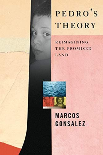 Cover of Pedro's Theory
