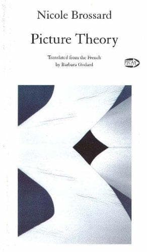 Cover of Picture Theory