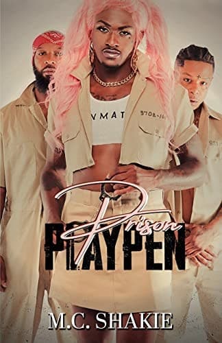 Cover of Prison Playpen