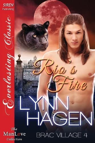 Cover of Rio's Fire
