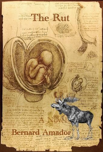 Cover of Rut
