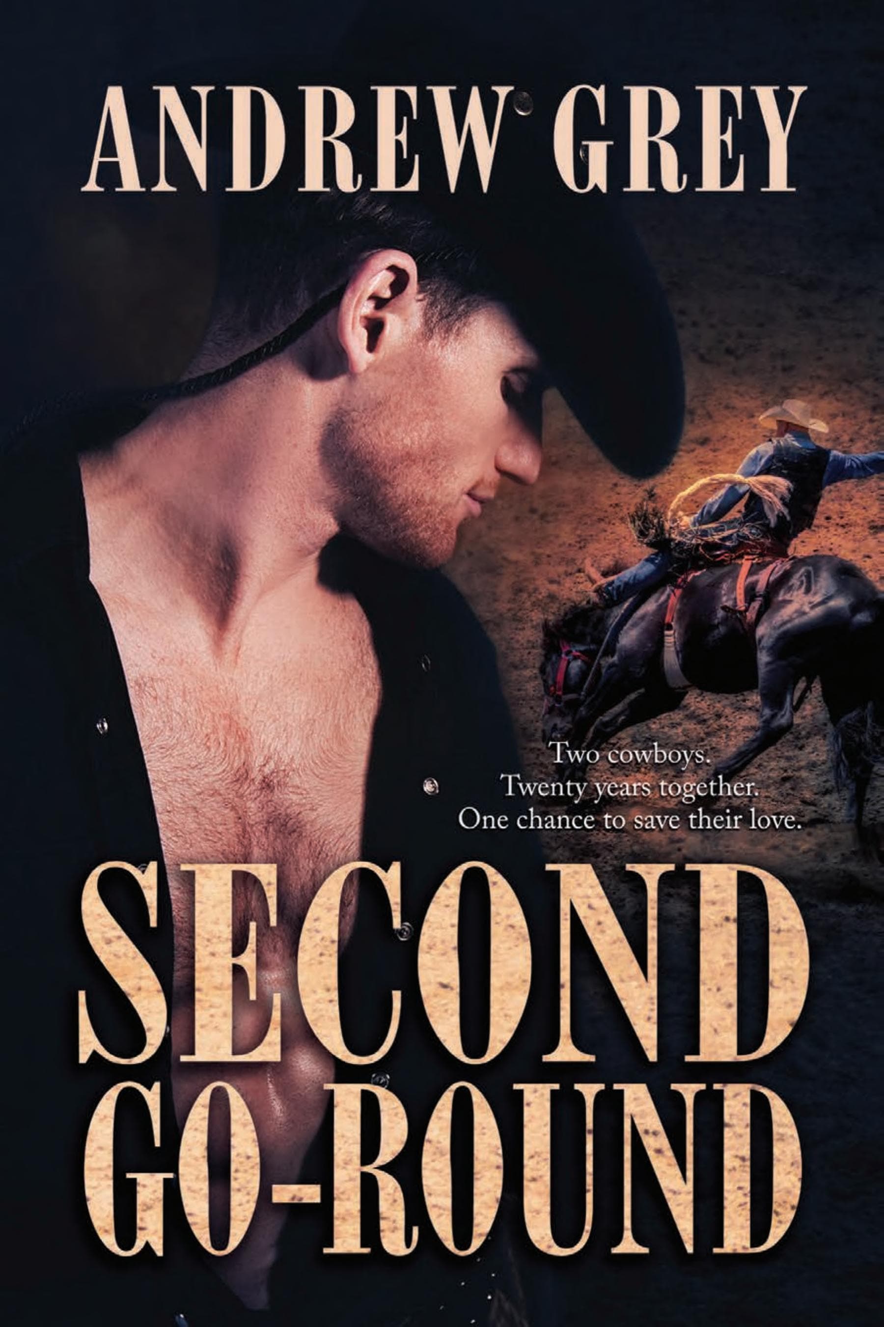 Cover of Second Go-Round