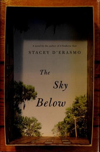 Cover of Sky Below