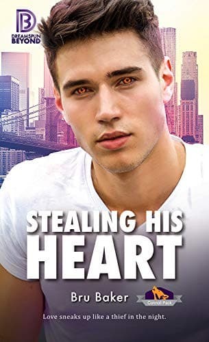 Cover of Stealing His Heart