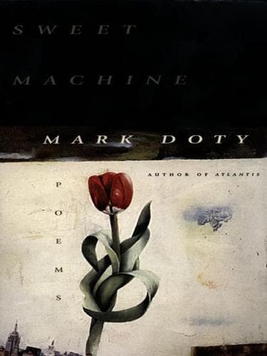 Cover of Sweet Machine