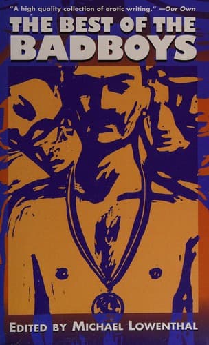 Cover of The best of the Badboys