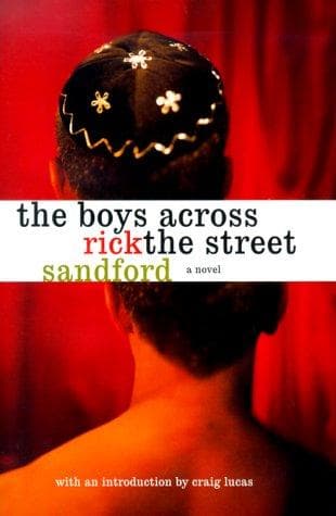 Cover of The boys across the street