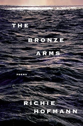 Cover of The Bronze Arms