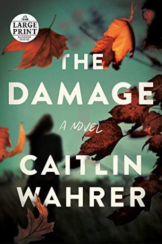 Cover of The Damage