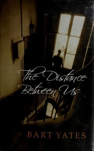Cover of The distance between us