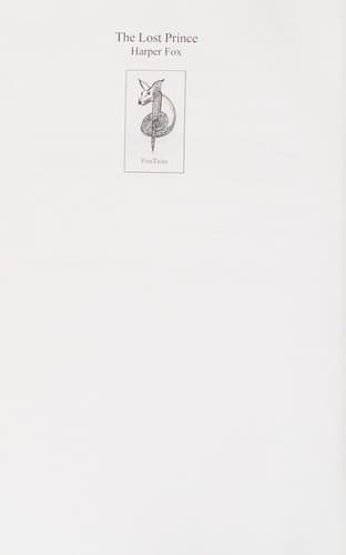 Cover of The lost prince
