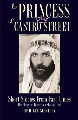 Cover of The princess of Castro Street