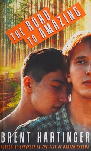 Cover of The road to amazing