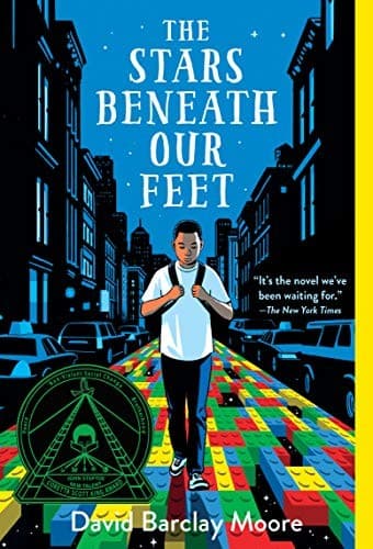 Cover of The Stars Beneath Our Feet
