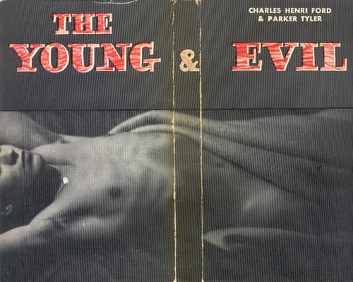 Cover of The Young and The Evil