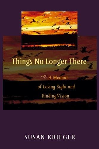 Cover of Things No Longer There